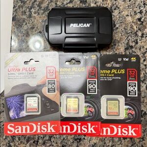Black Pelican Case with 3 SanDisk 32GB Memory Cards